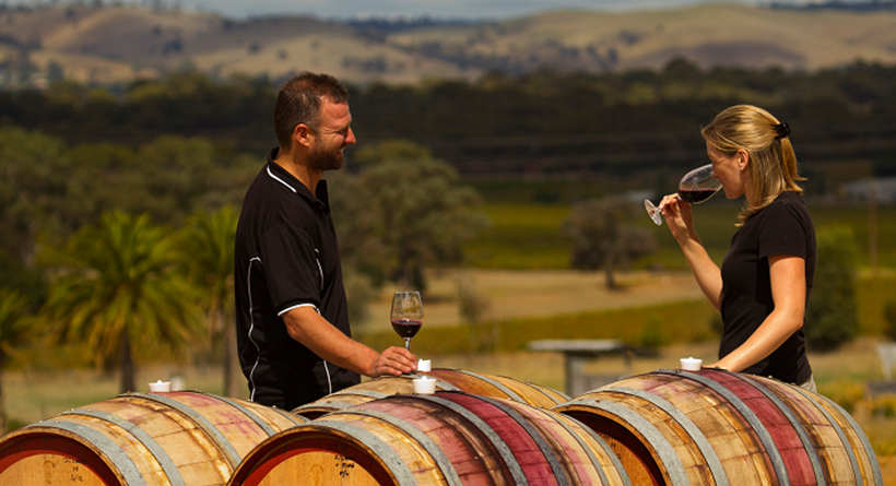 Laughing Jack team drinking wines